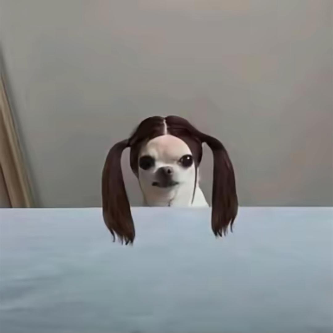 打酱油的