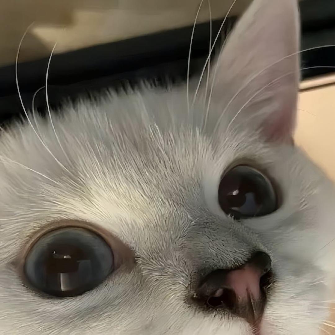睡个好觉吧