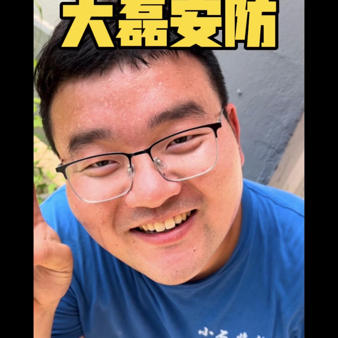 大磊安防(尊师岩总)
