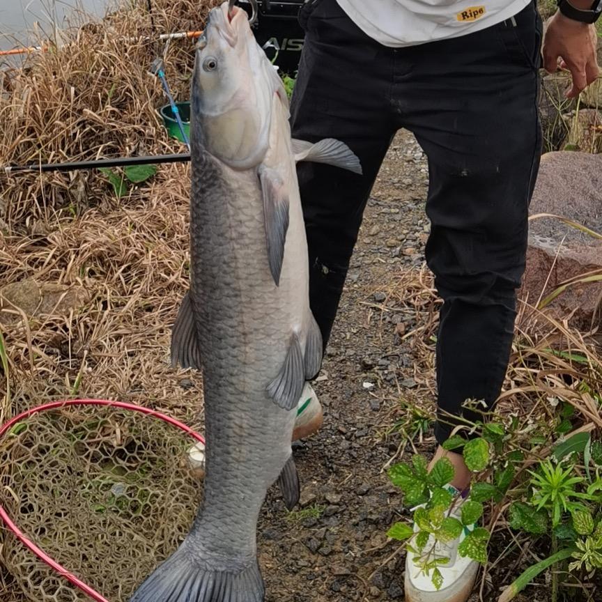 保险知识早知道