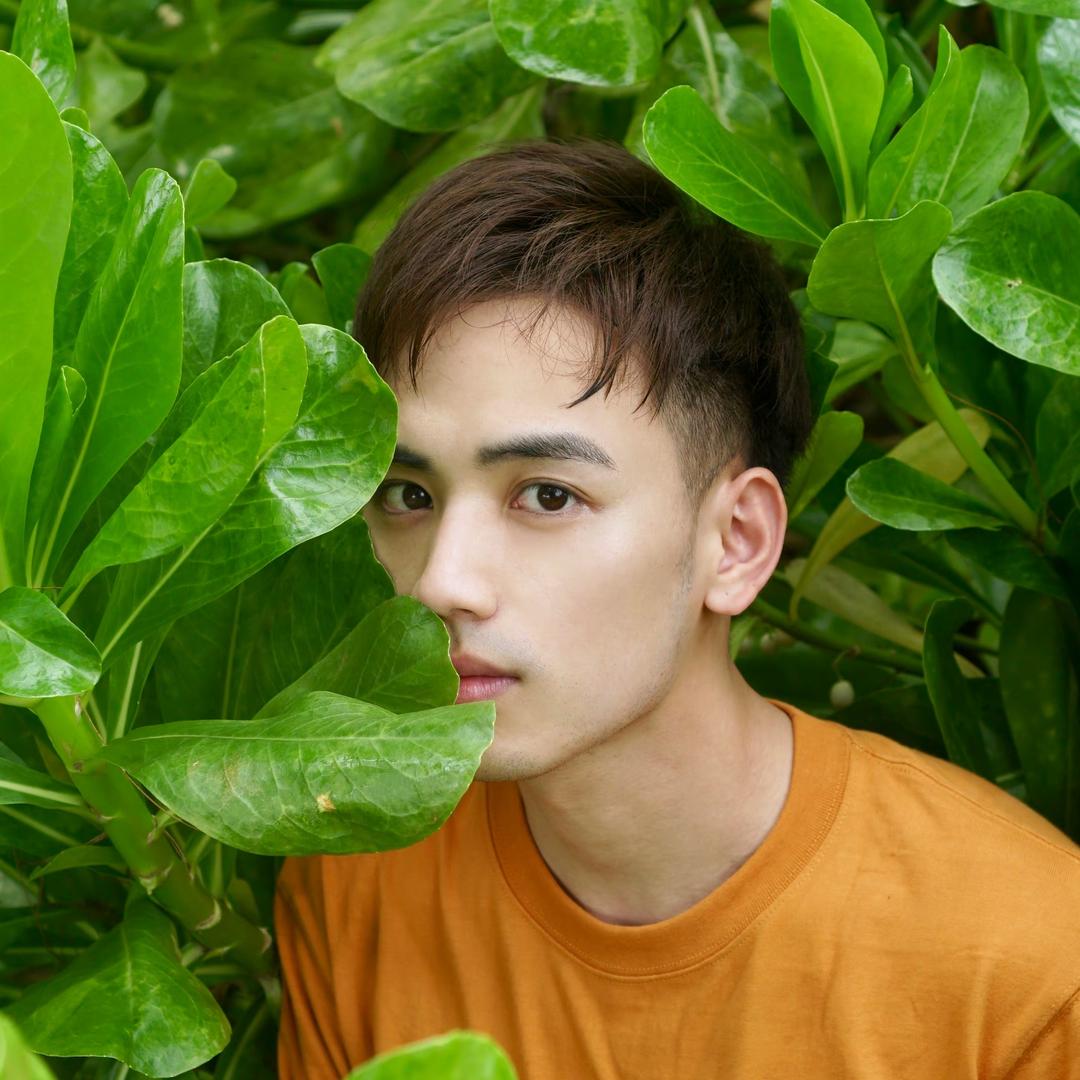 考拉做个东西@抖音