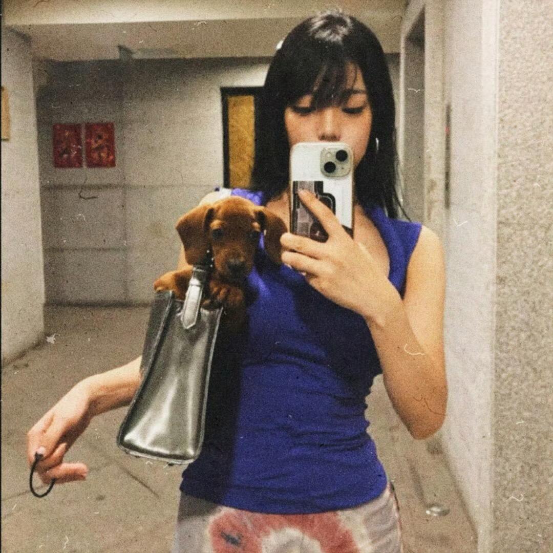 理理