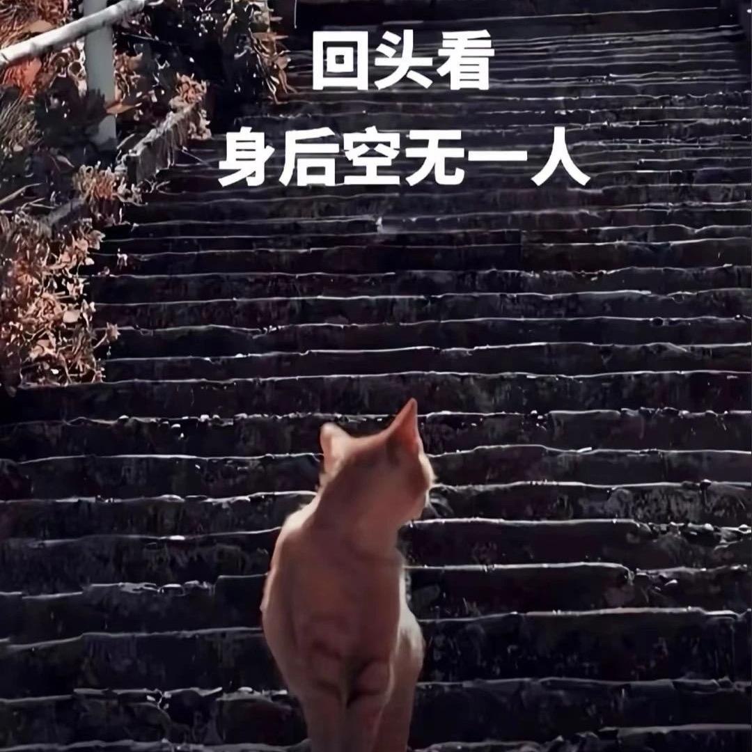 🍋     不酸