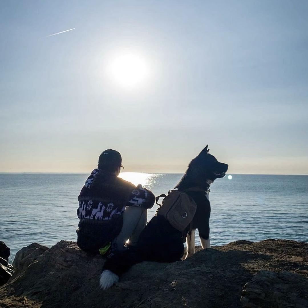 鸡蛋里并没有放葱