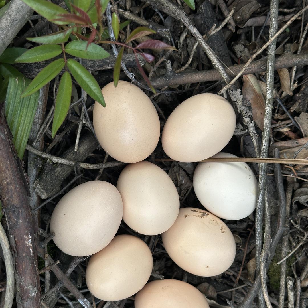 贵州龙里供应链总仓农场