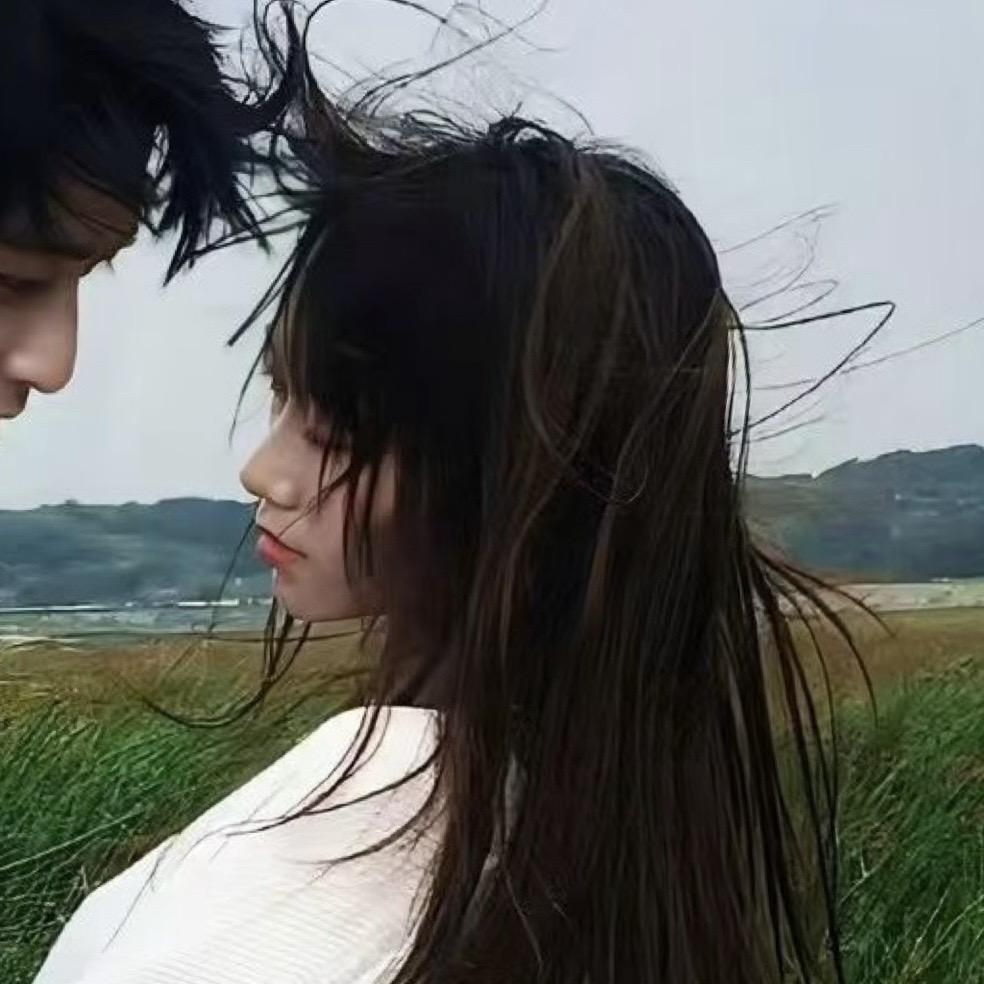 风宿雨