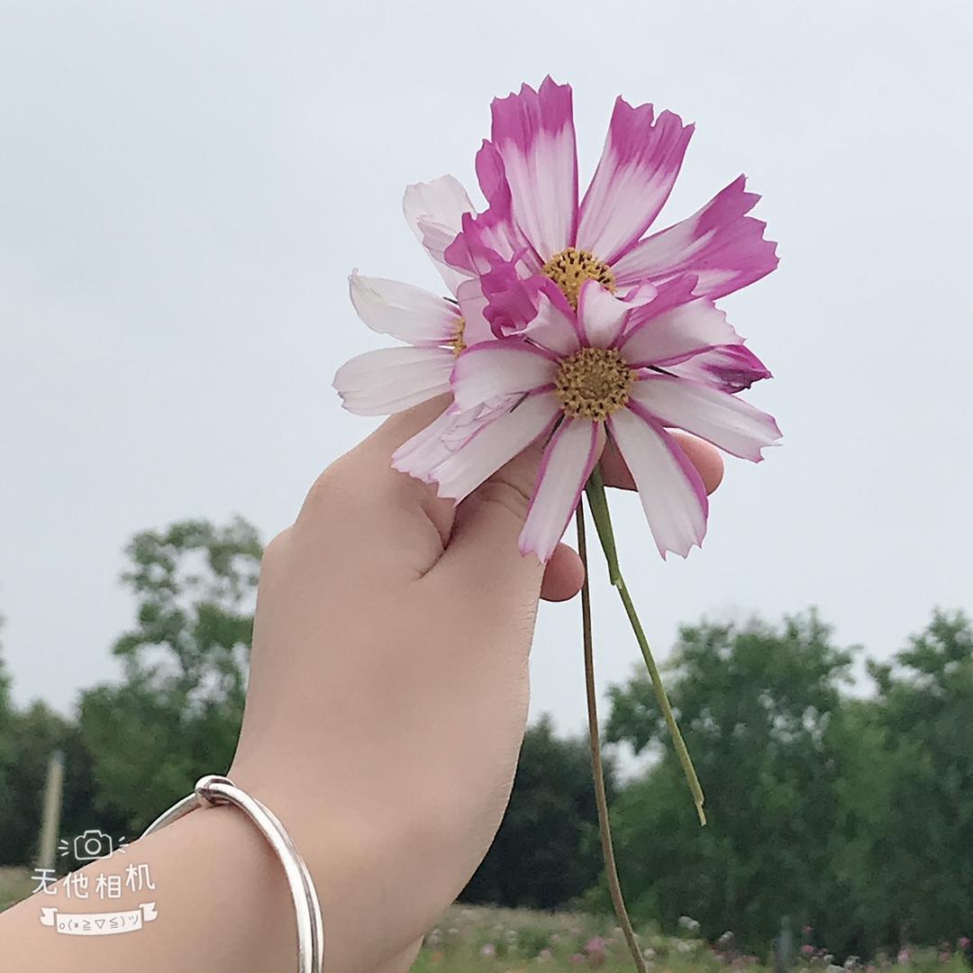 最美时光^-^