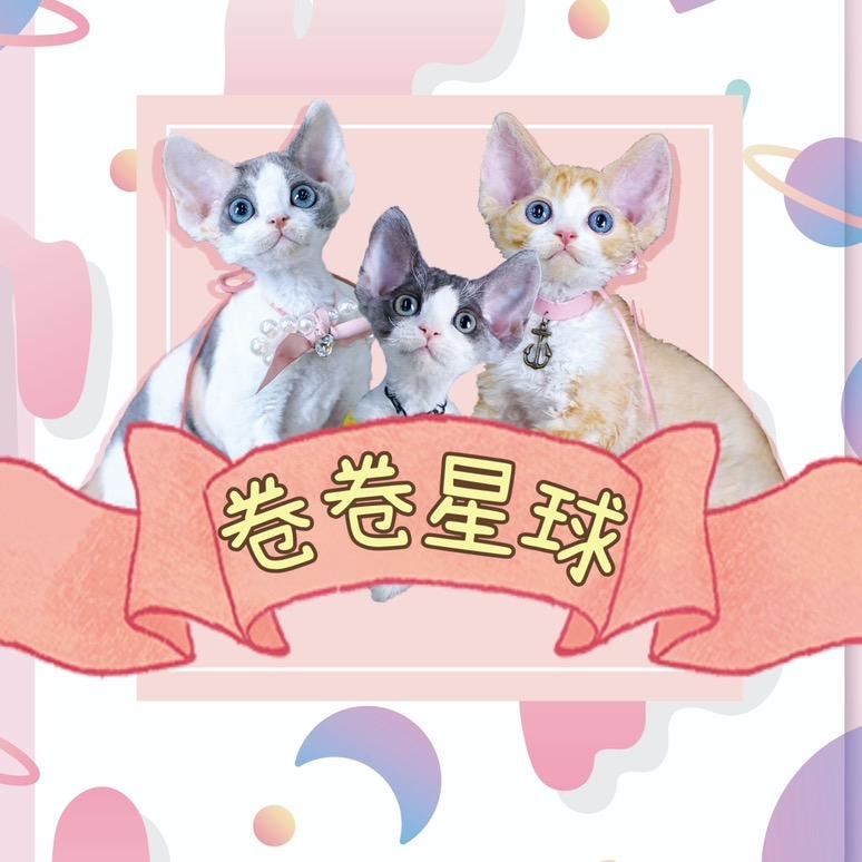 卷卷星球（小红老板）