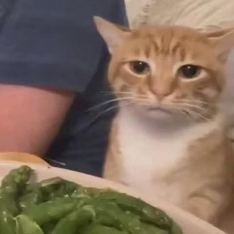 無去無来