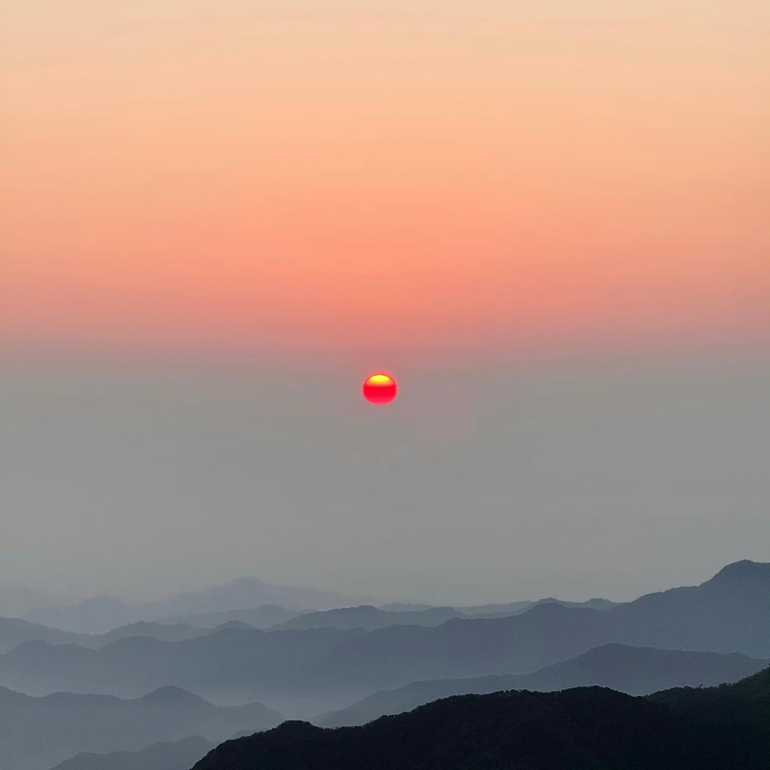 鱼鱼