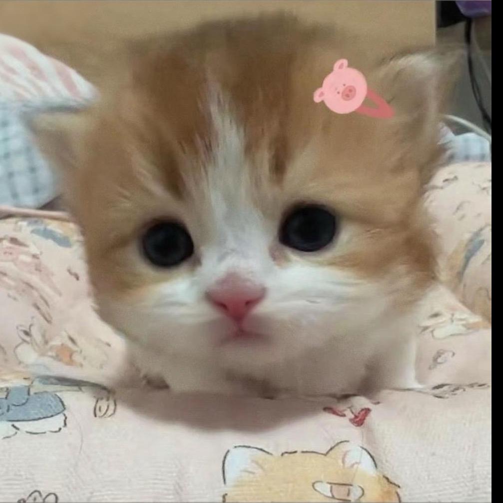 困困闲鱼~zZ