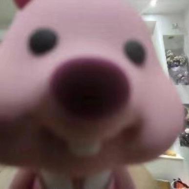 江君