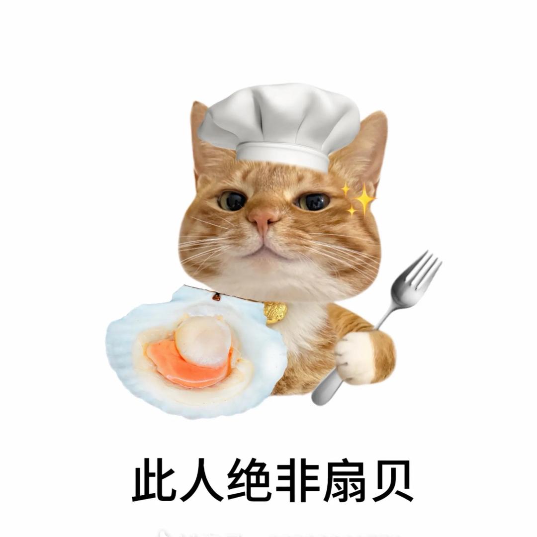 觅寻