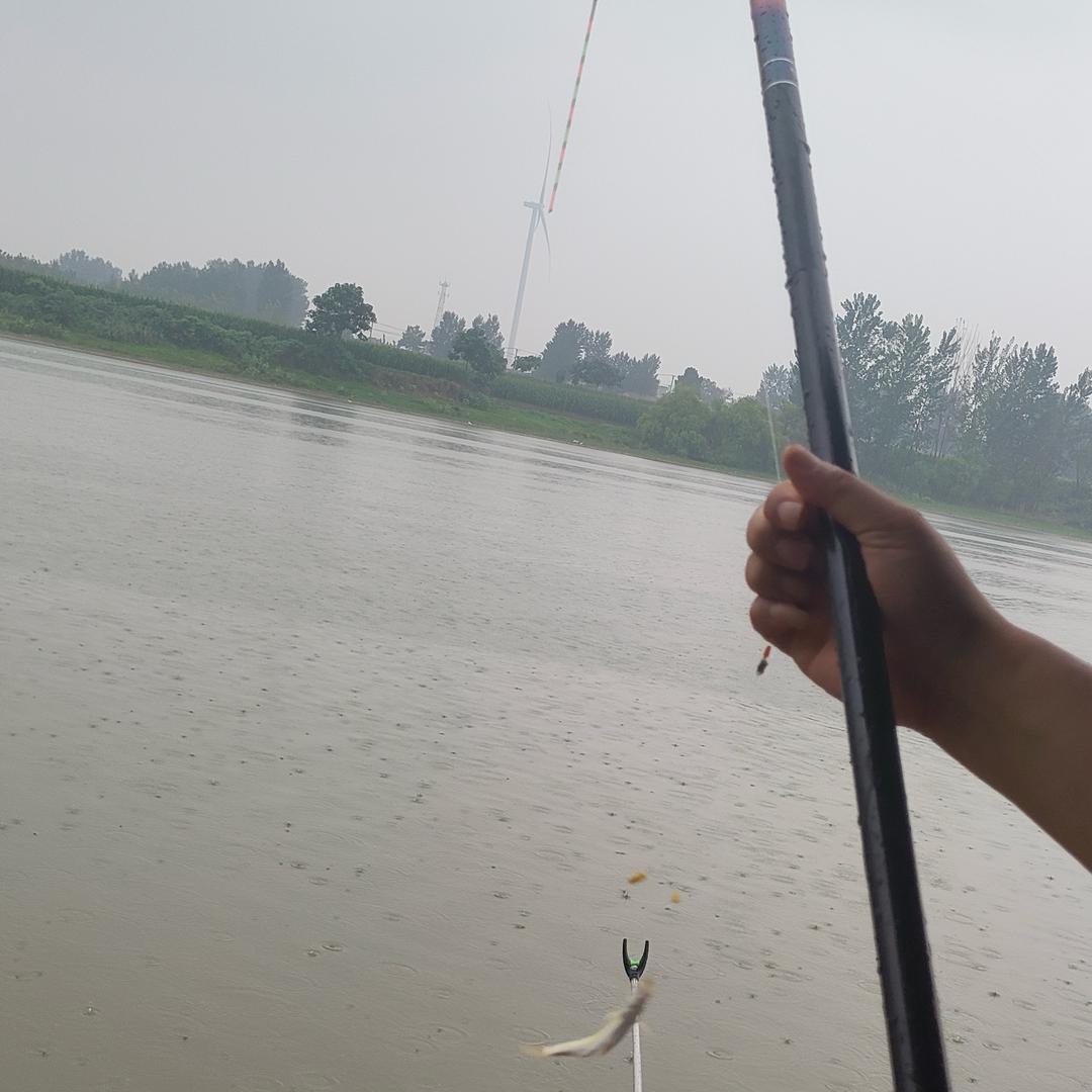 ☞只钓🎣小鱼🐟☜