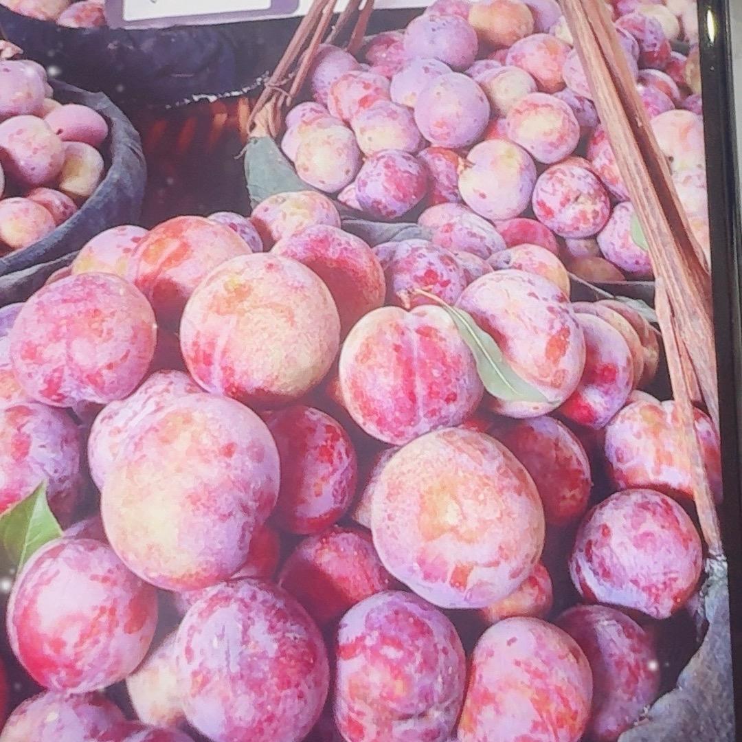 红红甜脆的李子