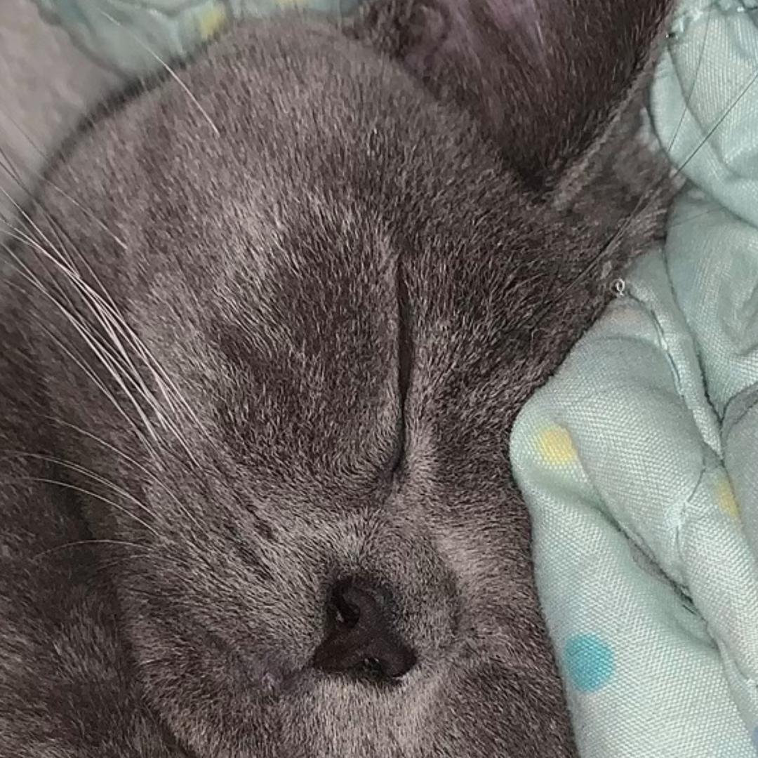 广东最困的男人