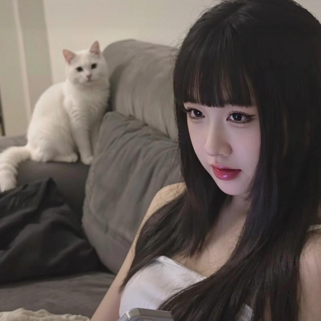 小y