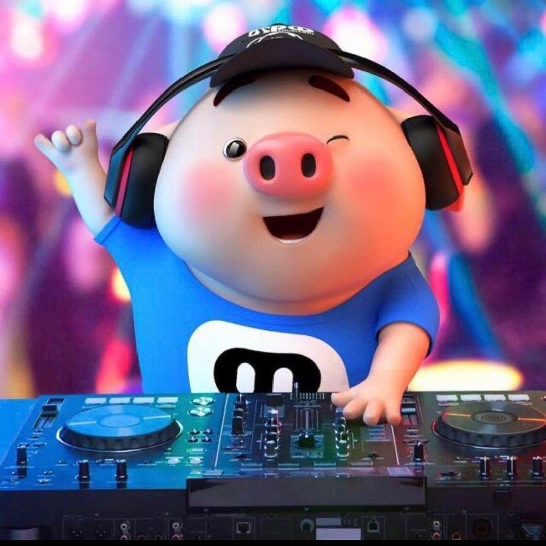 音淼空间-dj