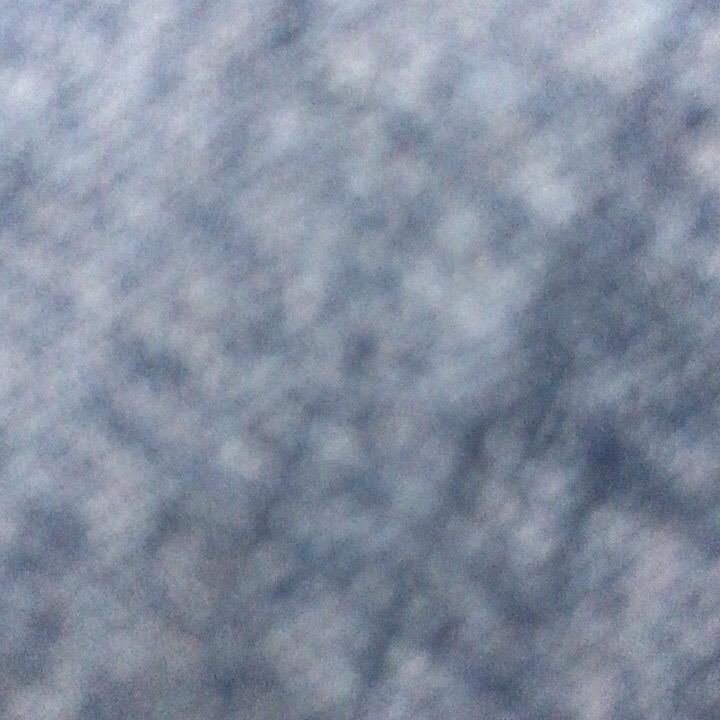 8833788