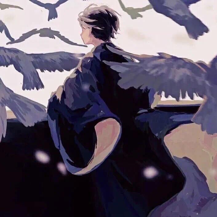 晚安七七.