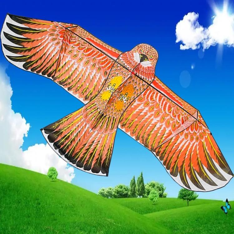潍坊老鹰风筝