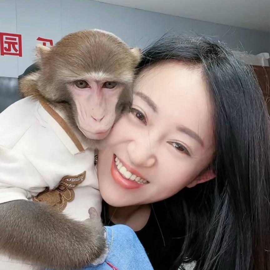 奇奇土豆