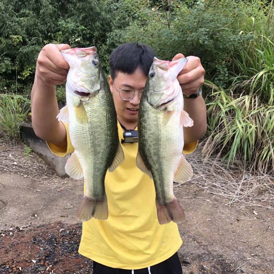 啥也不会只会画大饼