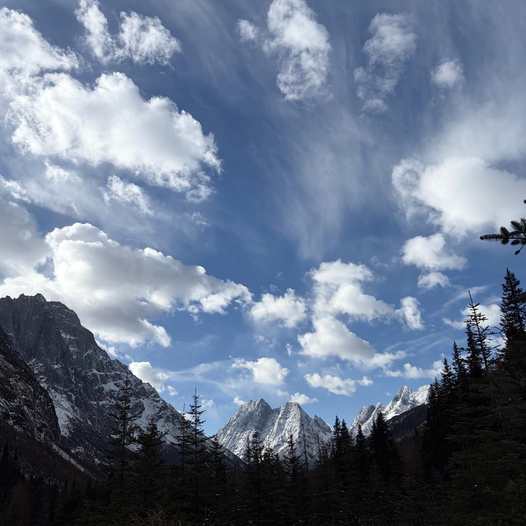 崇州科德家具黄佳