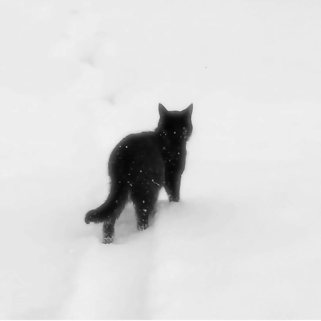秋