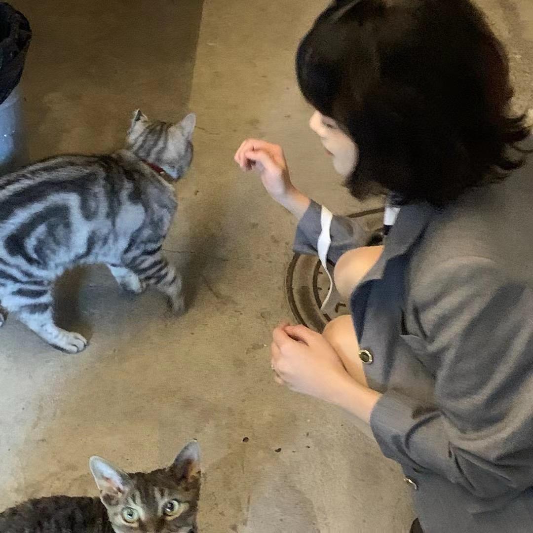 美味的臭豆腐