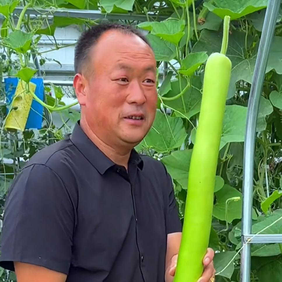 老庄教种菜