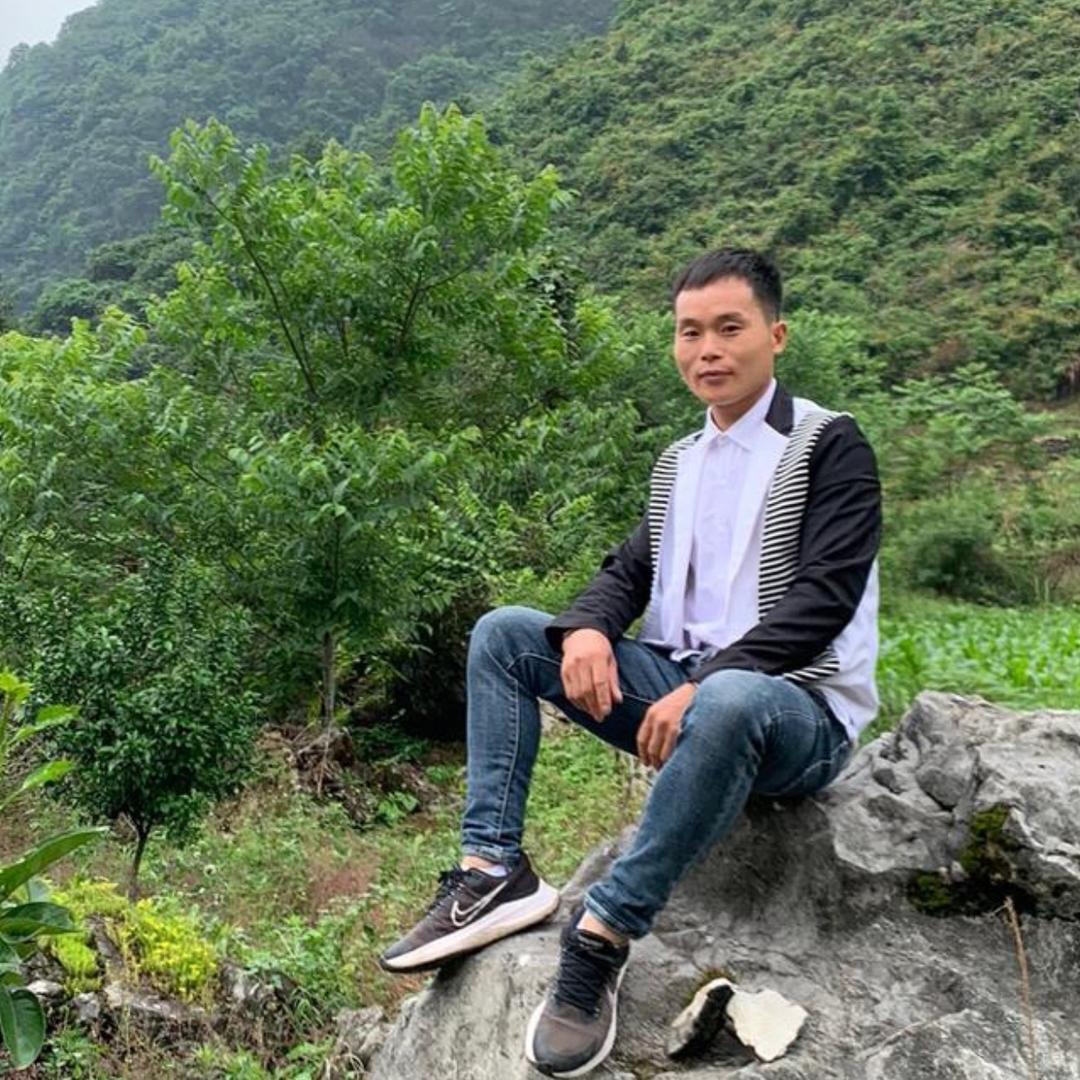 流年百草