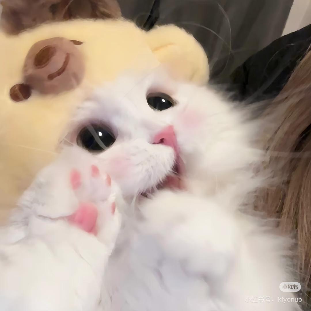 -₊˚⊹♡