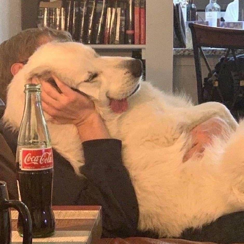 年华(三角洲行动）