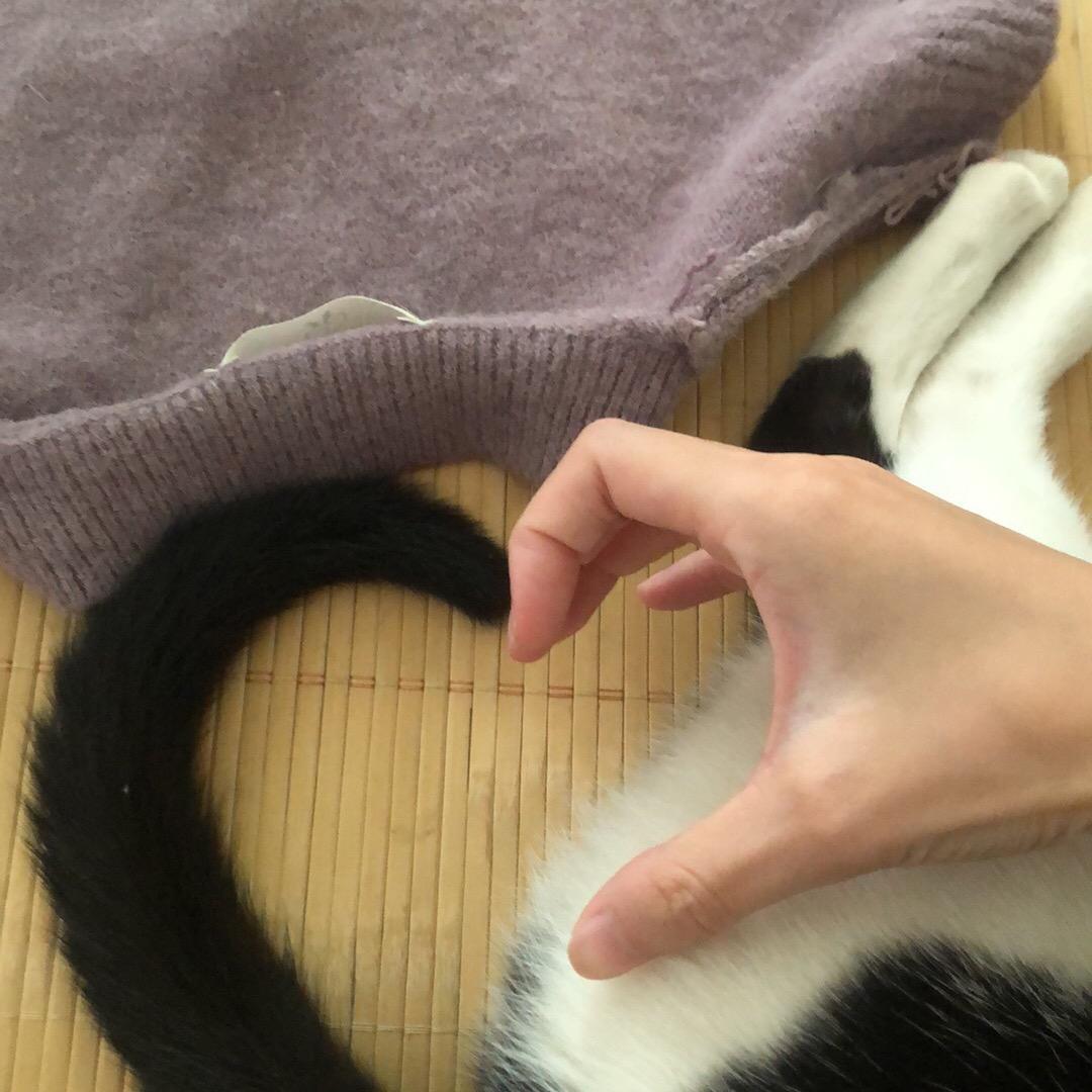 我和我的小猫健康幸福富足