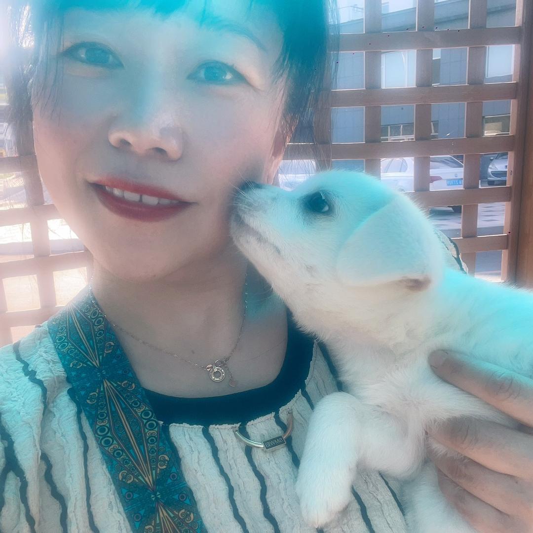 姜姜🥟
