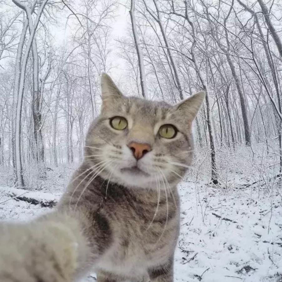 哆瑞咪发嗦啦西哆