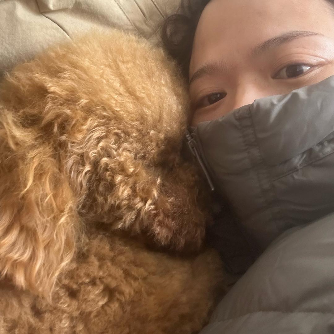 一个奔波儿灞，一个灞波儿奔