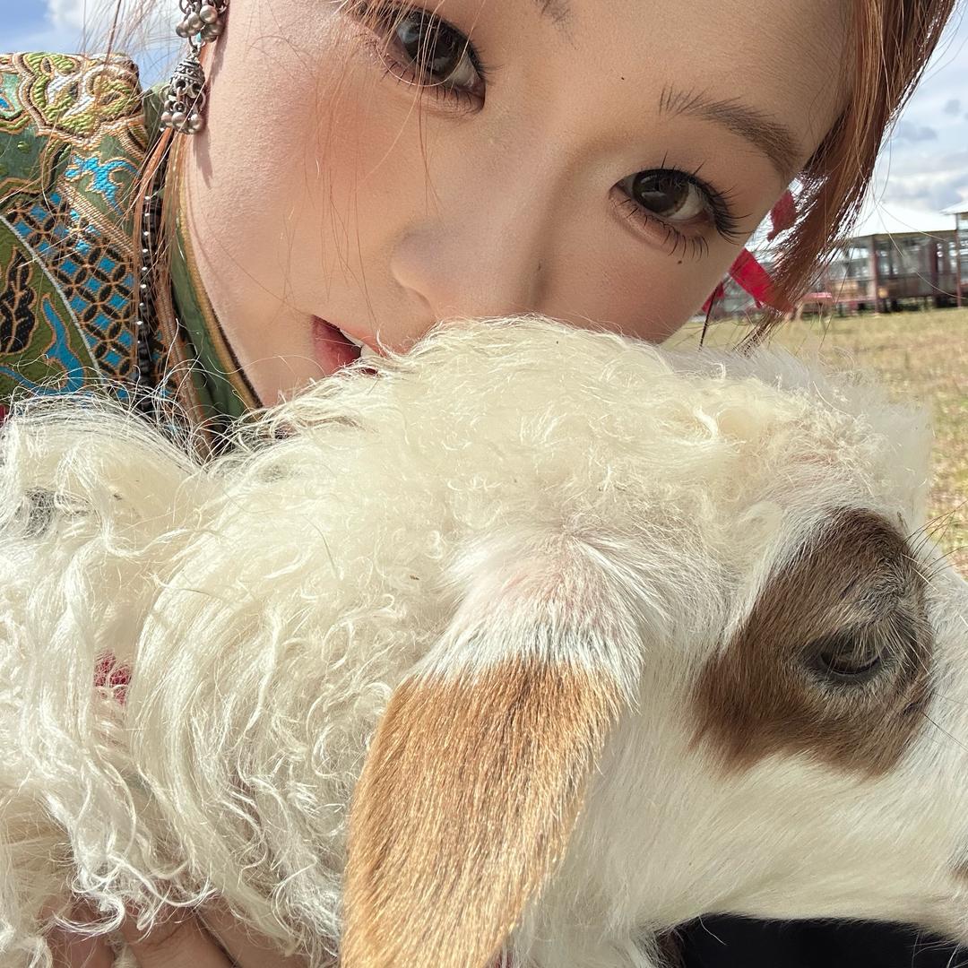反派闪闪