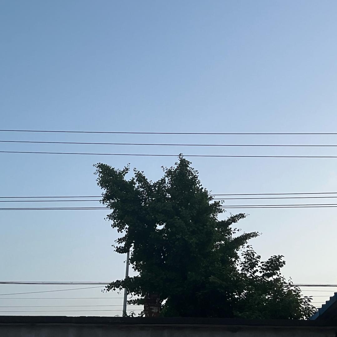 琴调相思引