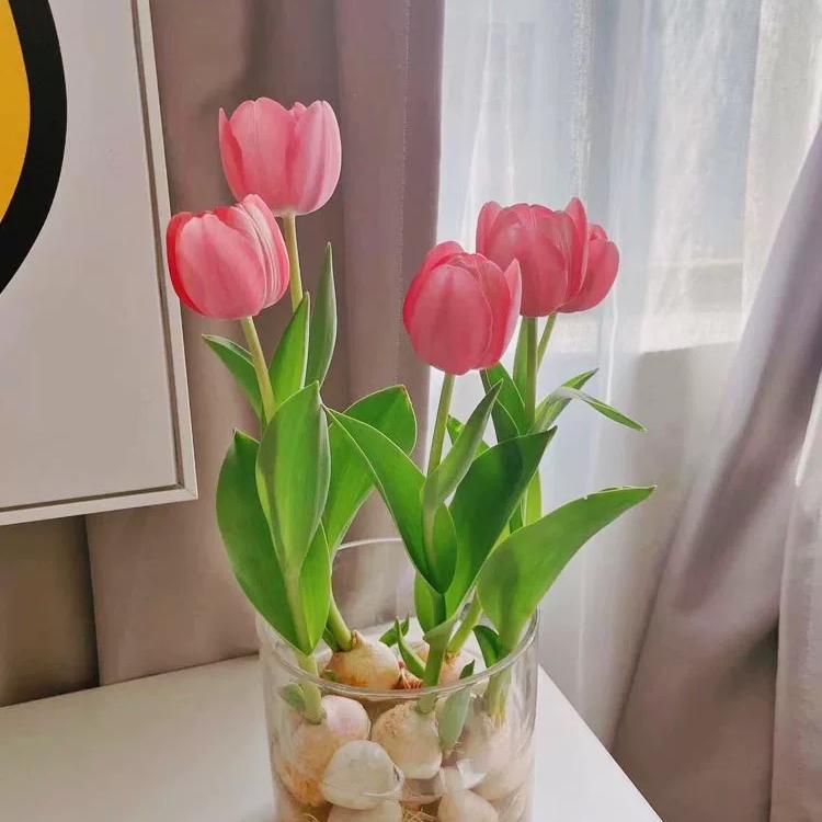 东东水果批发经营部