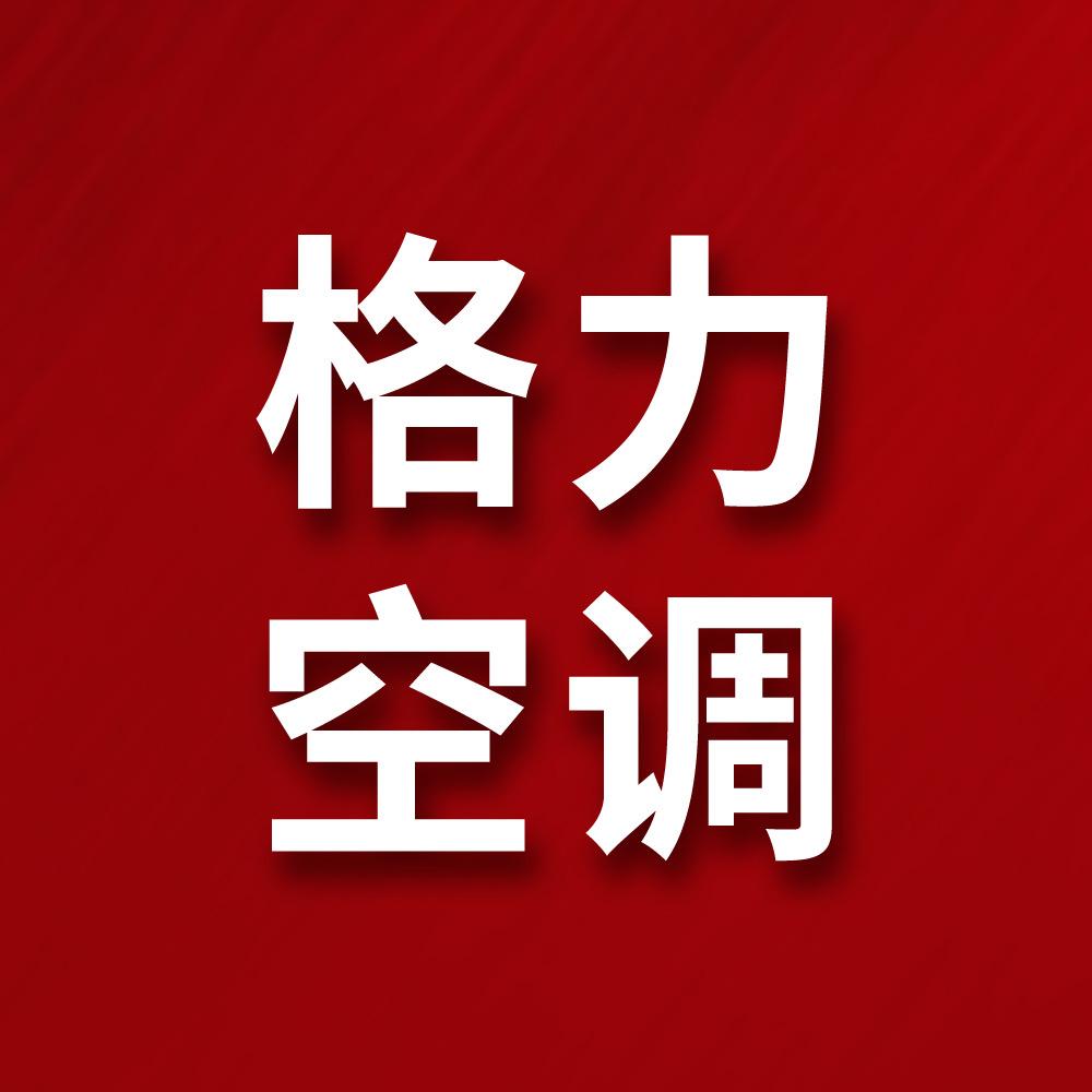 新大新格力咨询