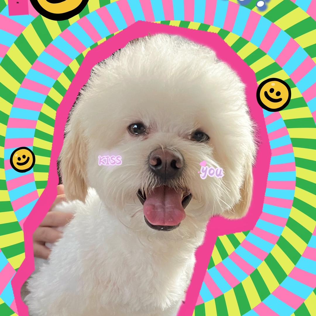 可乐超可爱