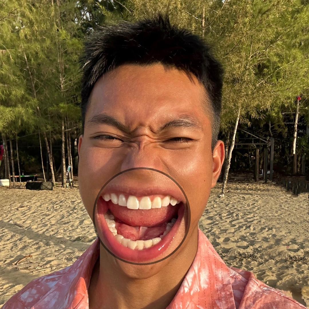 小黑的逃跑日记…