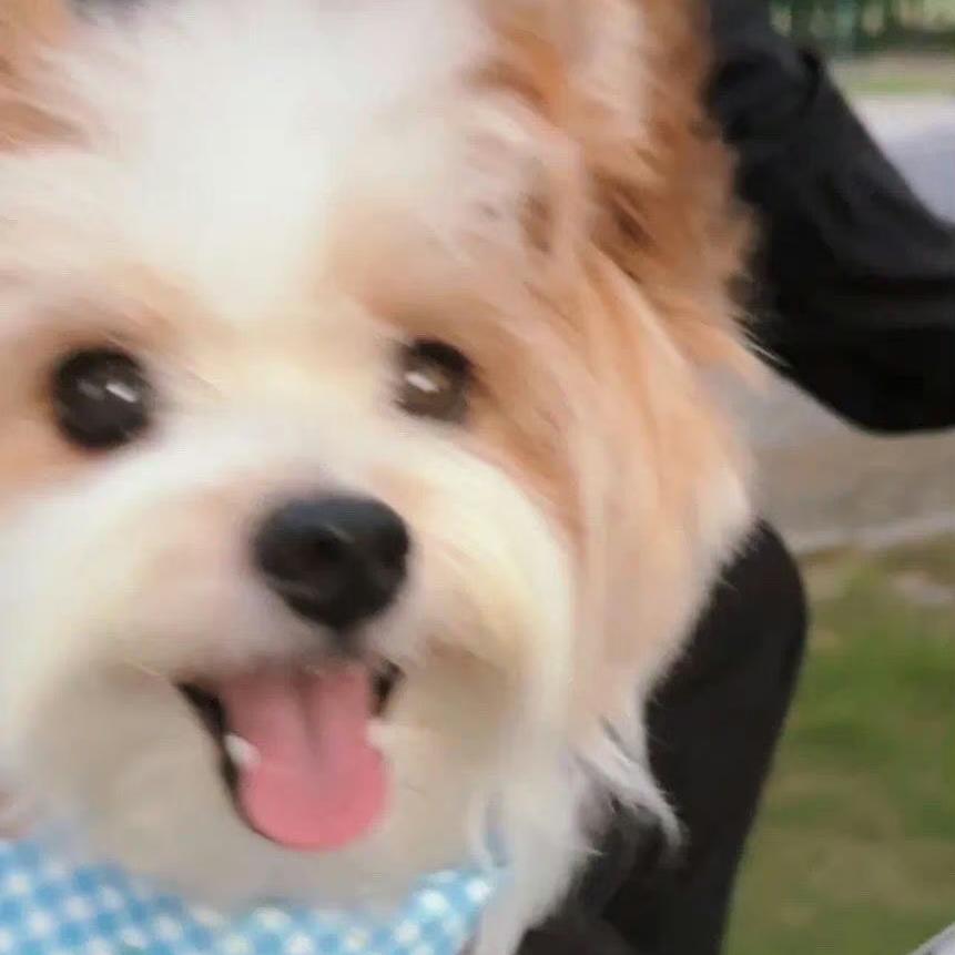 糕糕饰品工作室