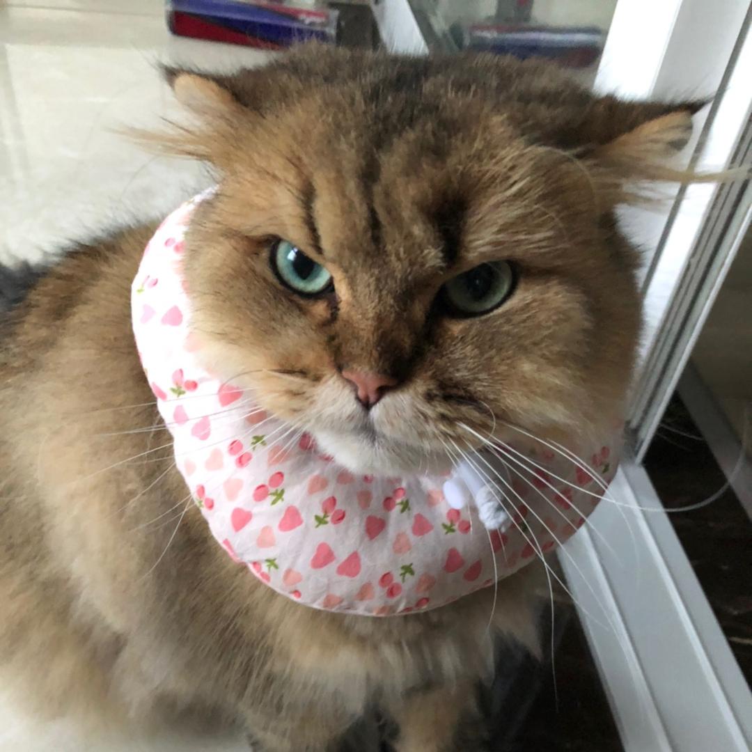 芳 （拒绝私聊）