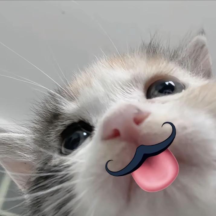 Mm1