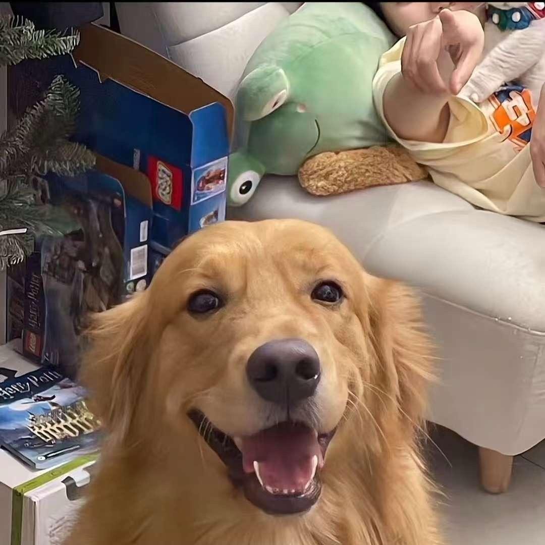 抓一天空月亮🌙