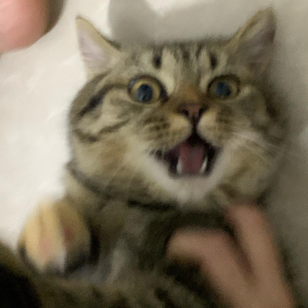 许平安