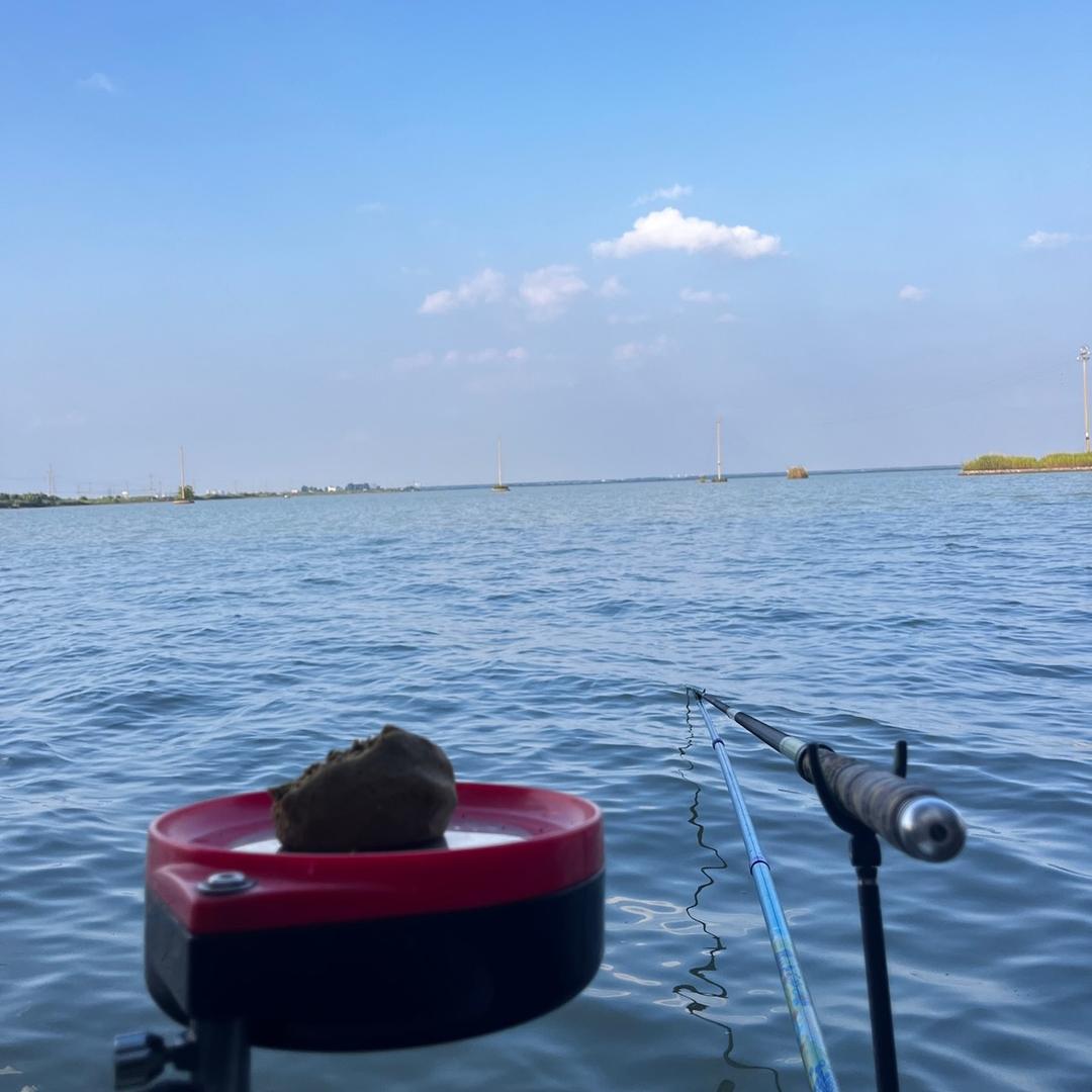 Hong哥（休闲野钓）